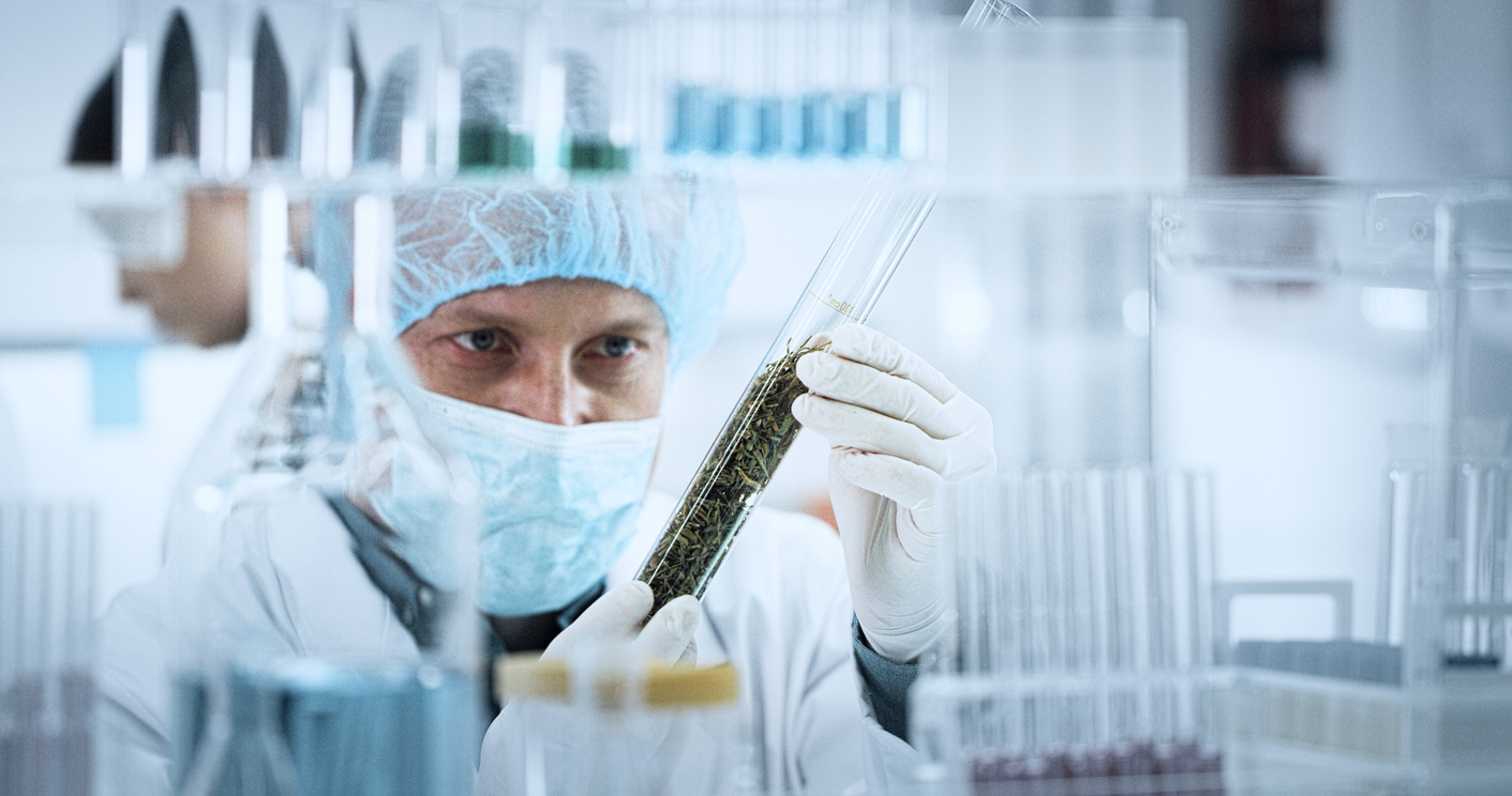 Cannabis Scientist in protective gear examining cannabis in a test tube